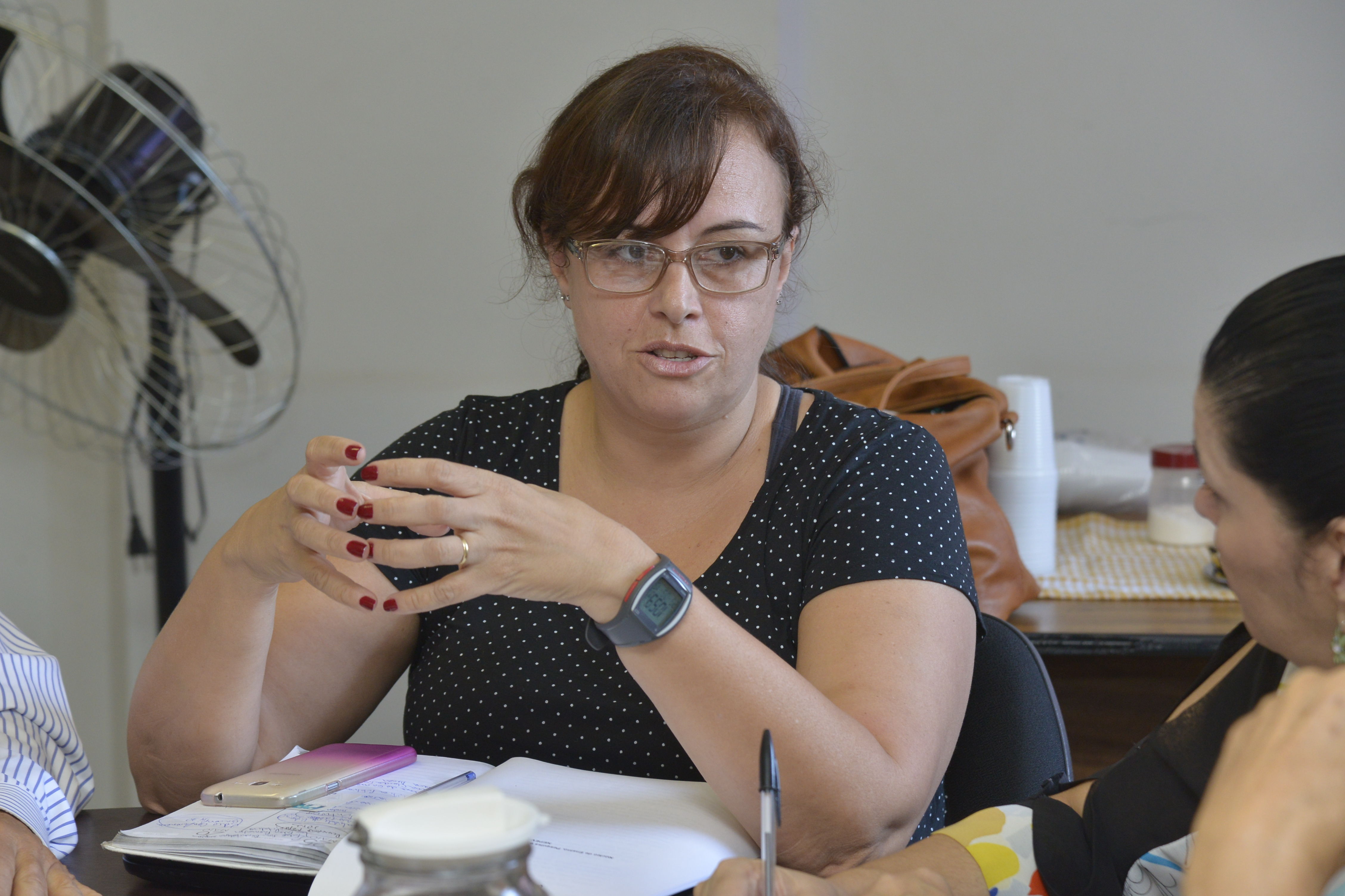 Primeira reunião ordinária do Nepev