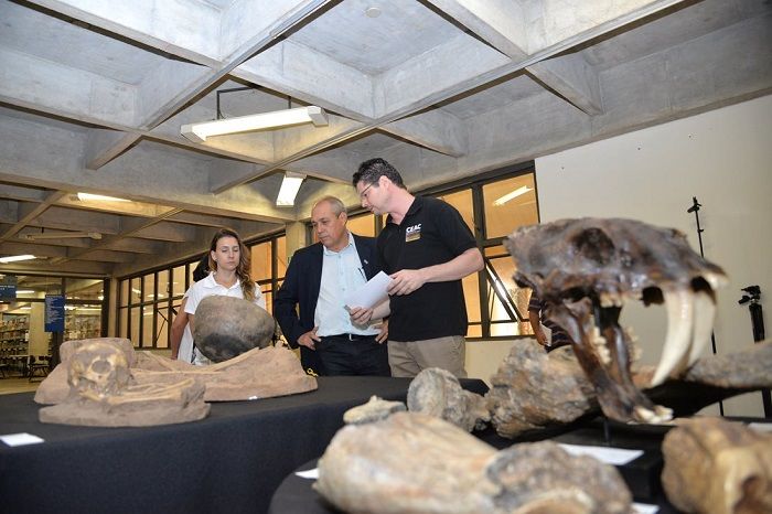 Exposicao de Arqueologia Biblioteca Central 04_04 5