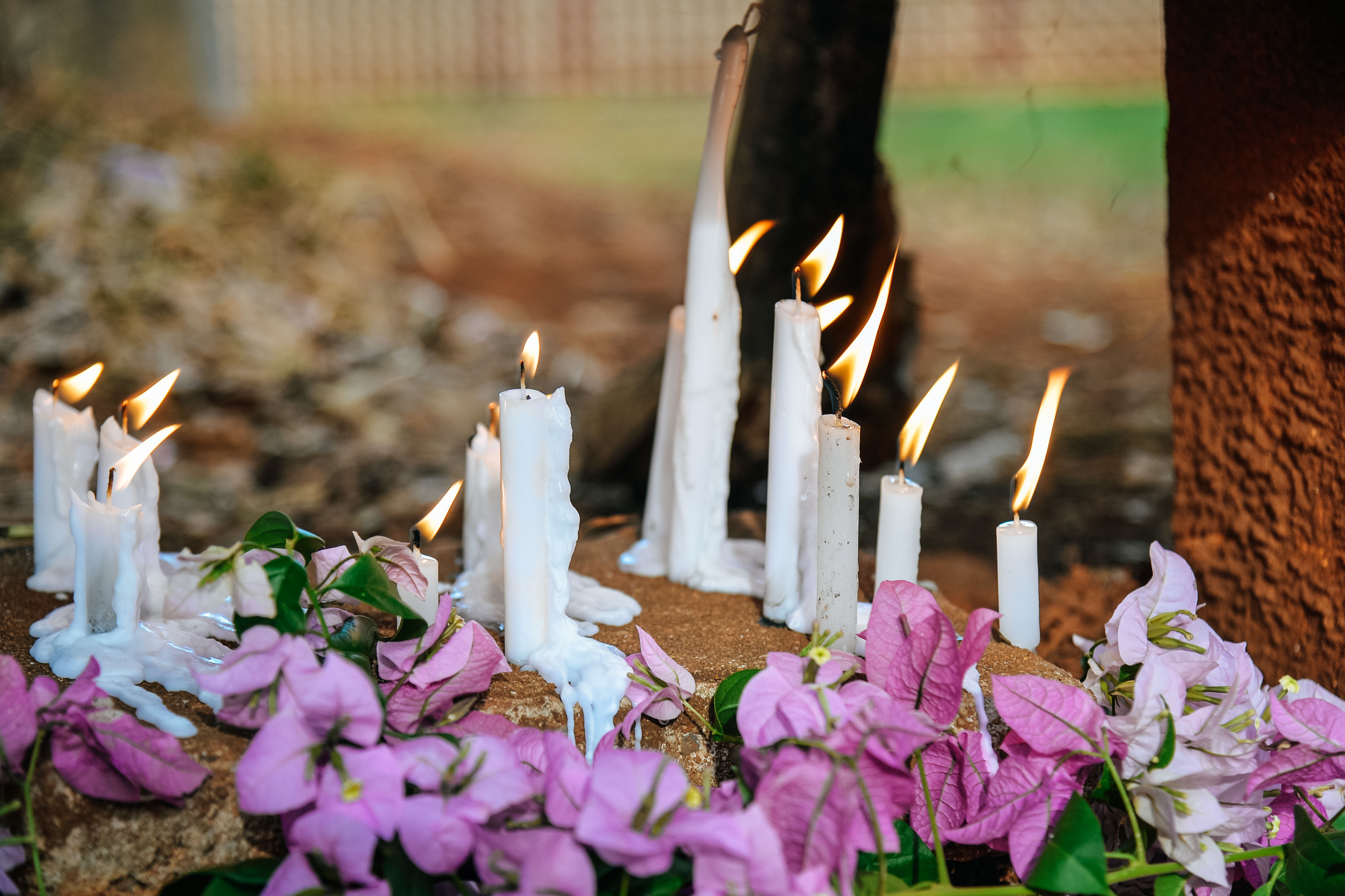 Batalha de Freecção