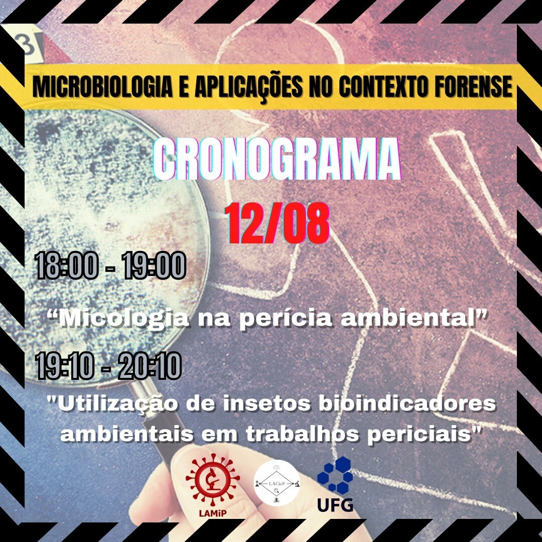 liga icb 11 e 12-8-21 (2)