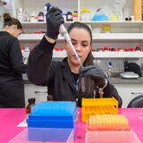 Grupo de Microfluídica e Eletroforese, IQ UFG