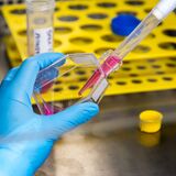 Laboratório_UFG_Cientista