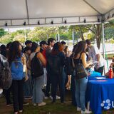 International day 2026