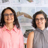  transmissão de cargo07.png