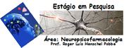 Estágio