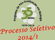 fig seleção