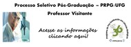 Prof. Visitante