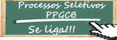 Processos Seletivos