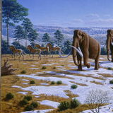 mamute mamute