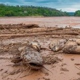 riodoce riodoce