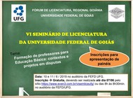 vi sem