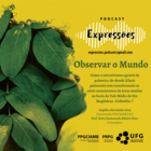 Observar o mundo