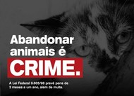 ABANDONO DE ANIMAIS É CRIME!