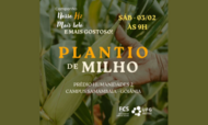 plantio milho fcs (300 × 180 px).png