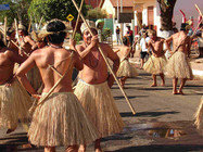 Terena