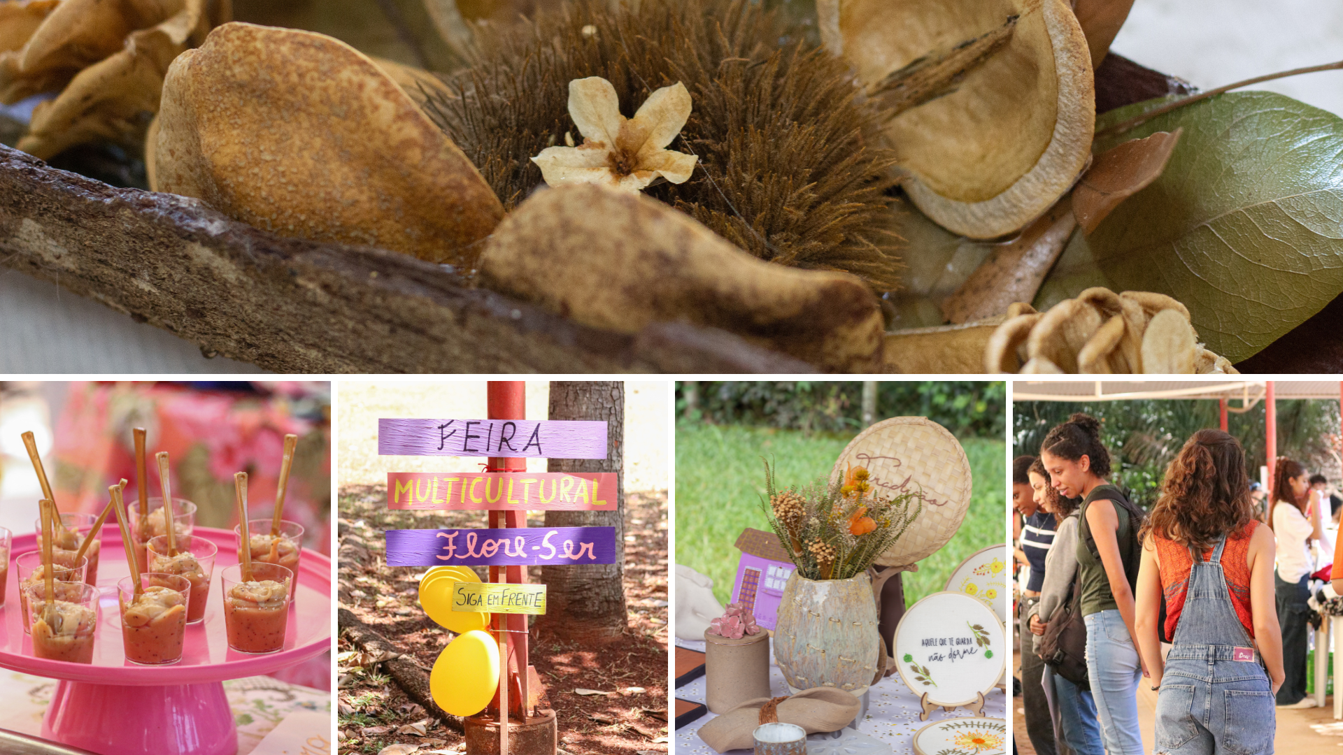 banner com fotografias da feira flore-ser