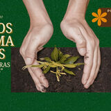 banner convite ciclo formativo terras. Arte verde com mão plantando escrito: terras: ciclos formativos "semeadudras do terras" 11/06 às 19h