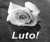 noticia1315589045.gif