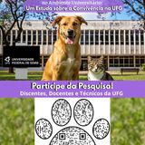 Pesquisa Caes e Gatos