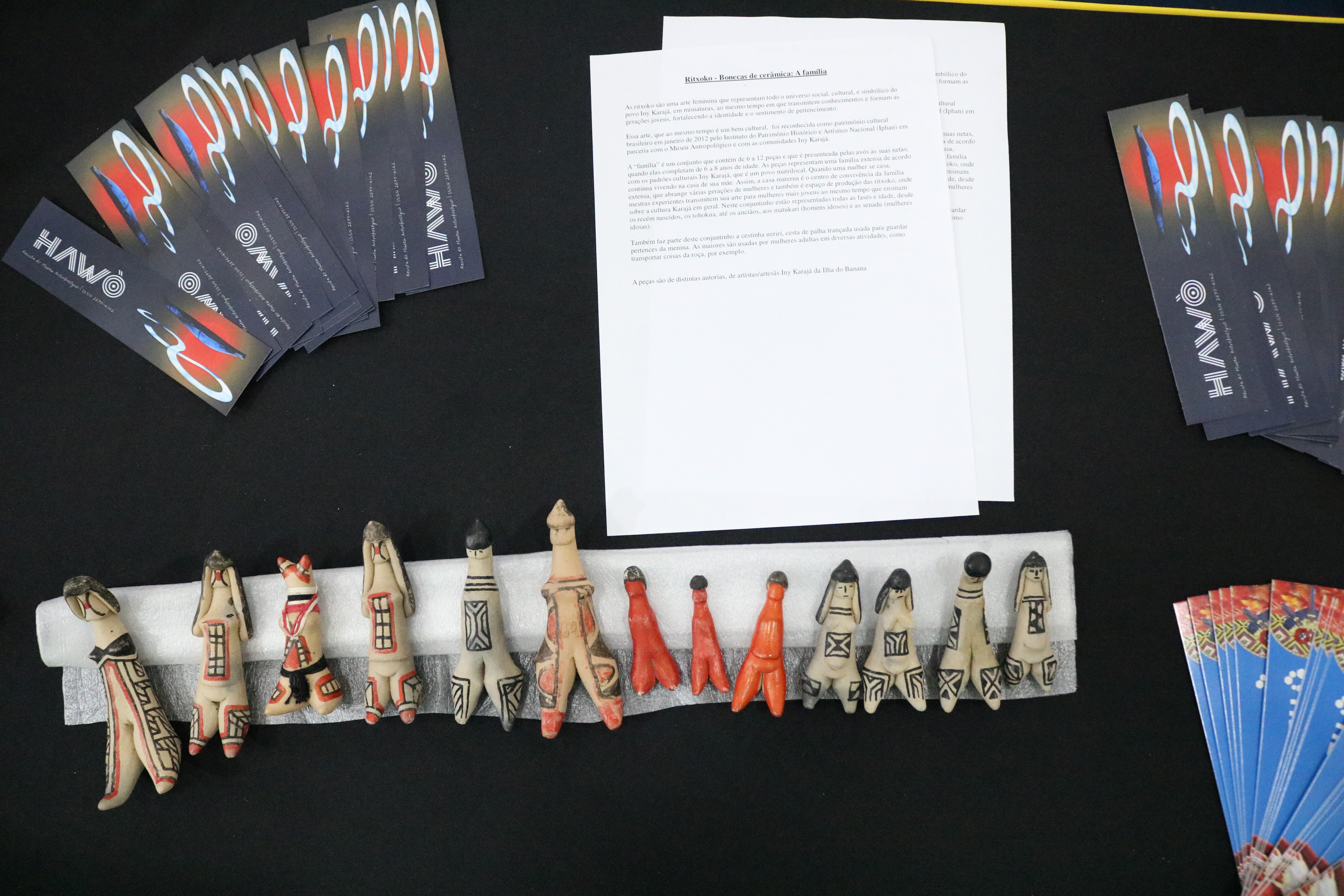 Pesquisa e Inovação no Conpeex 2025 (10)