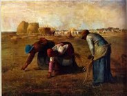 PPGS.Millet