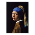 PPGS.vermeer