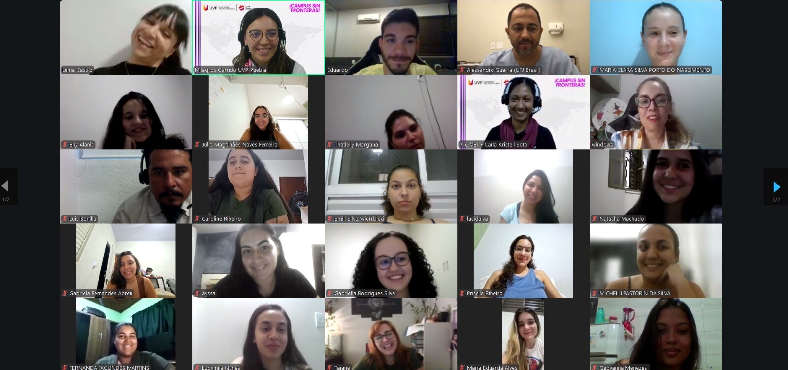 Diversidad Felina-1.jpg