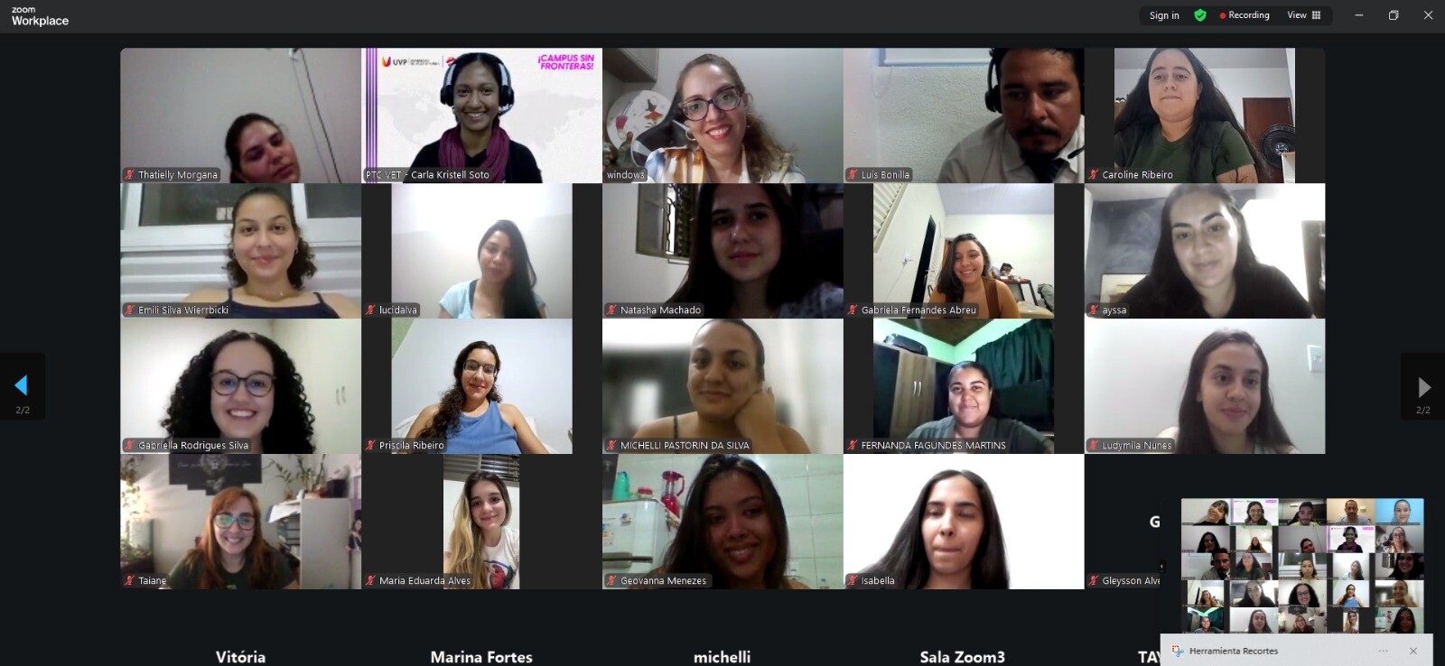 Diversidad Felina-2.jpg