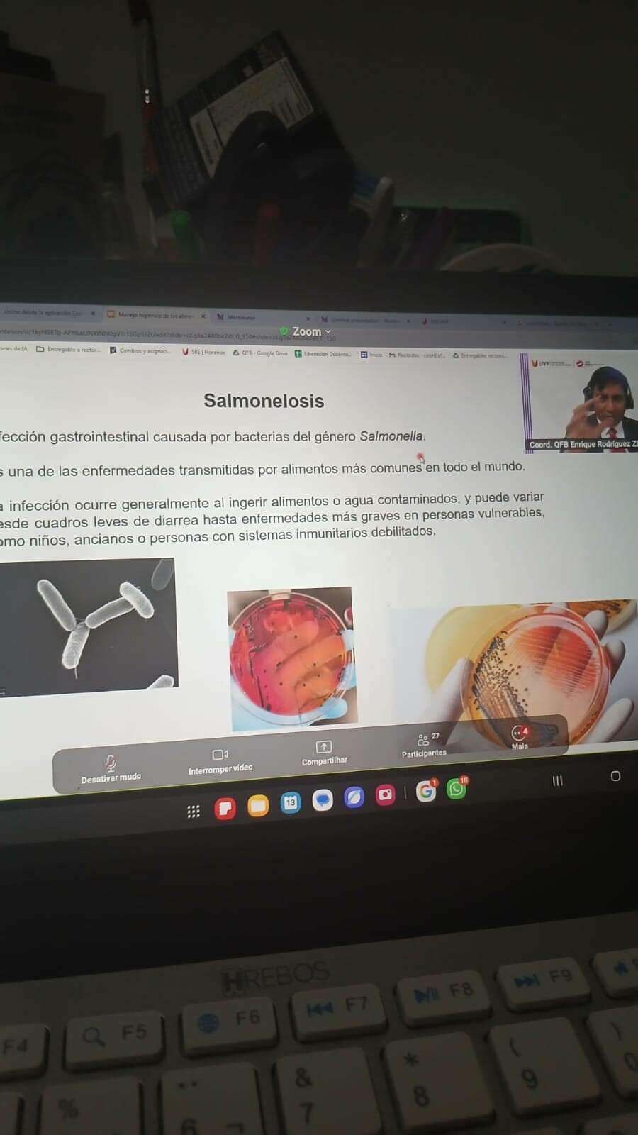 Manejo Higiénico de los Alimentos-4.jpg