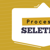 Processo Seletivo Processo Seletivo