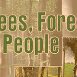Capa_Trees, Forests and People.png