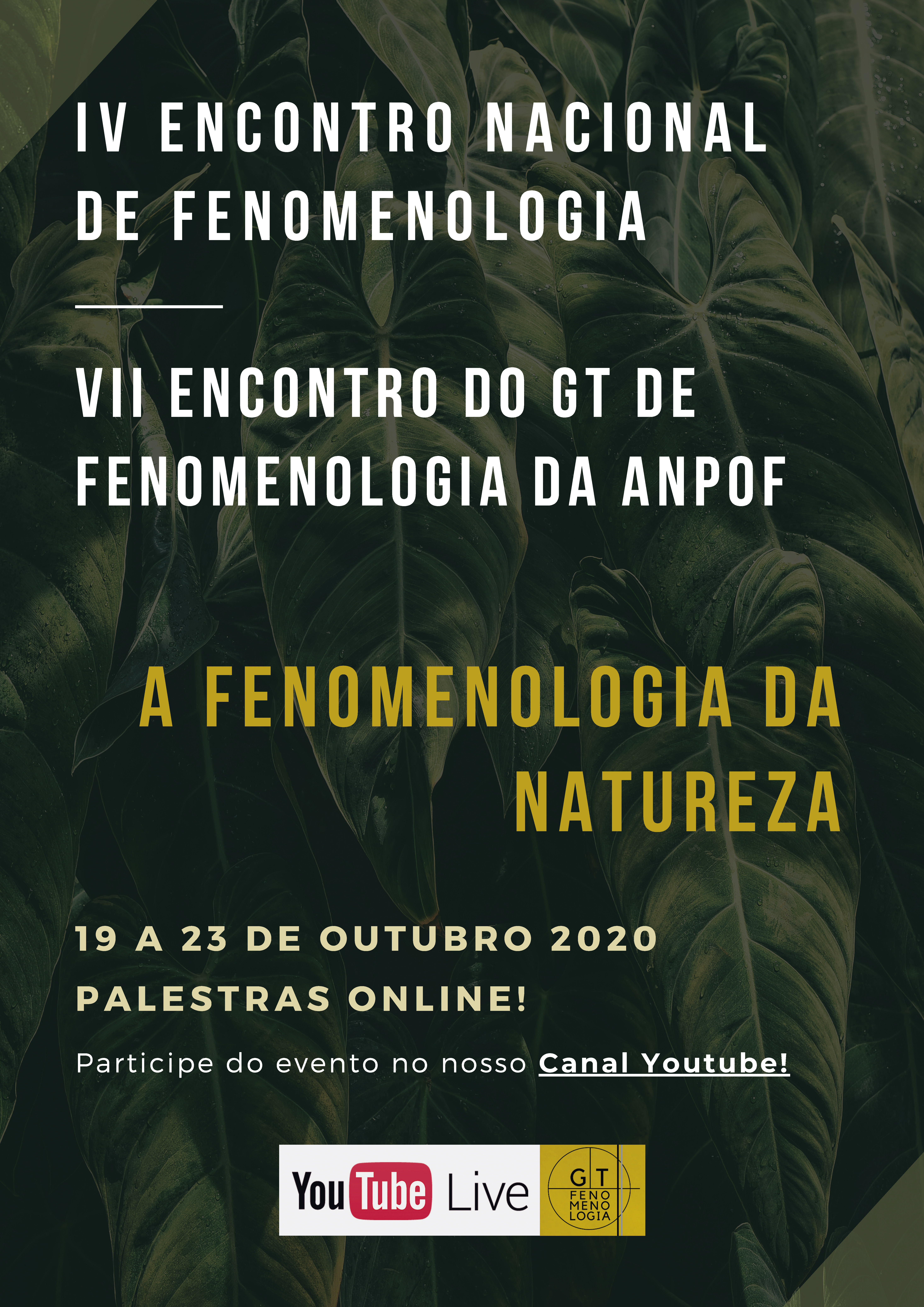 Cartaz GT 2020
