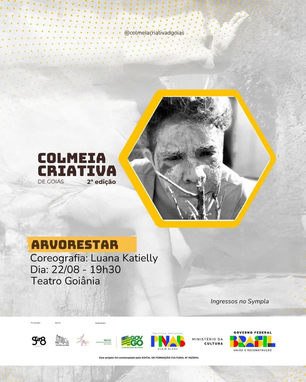 Colmeia 2