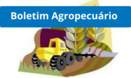 boletim agropecuário