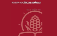 Artigo de egressa e professor do curso de economia