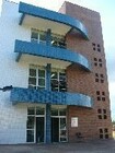 noticia1242062761.jpg