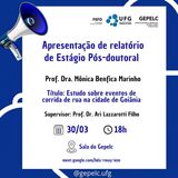 Apresentação de relatório de estágio pós-doutoral