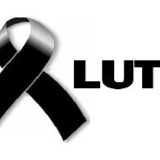 luto 300