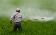 Agrotoxicos