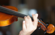 violino