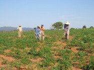 Foto de Marcelo Gosch/UFG-Incra