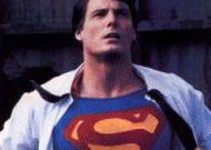 noticia2498.gif