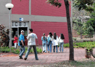 noticia3408.gif