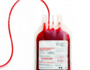 sangue-1.png