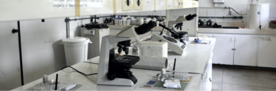 lab microbiologia lab microbiologia