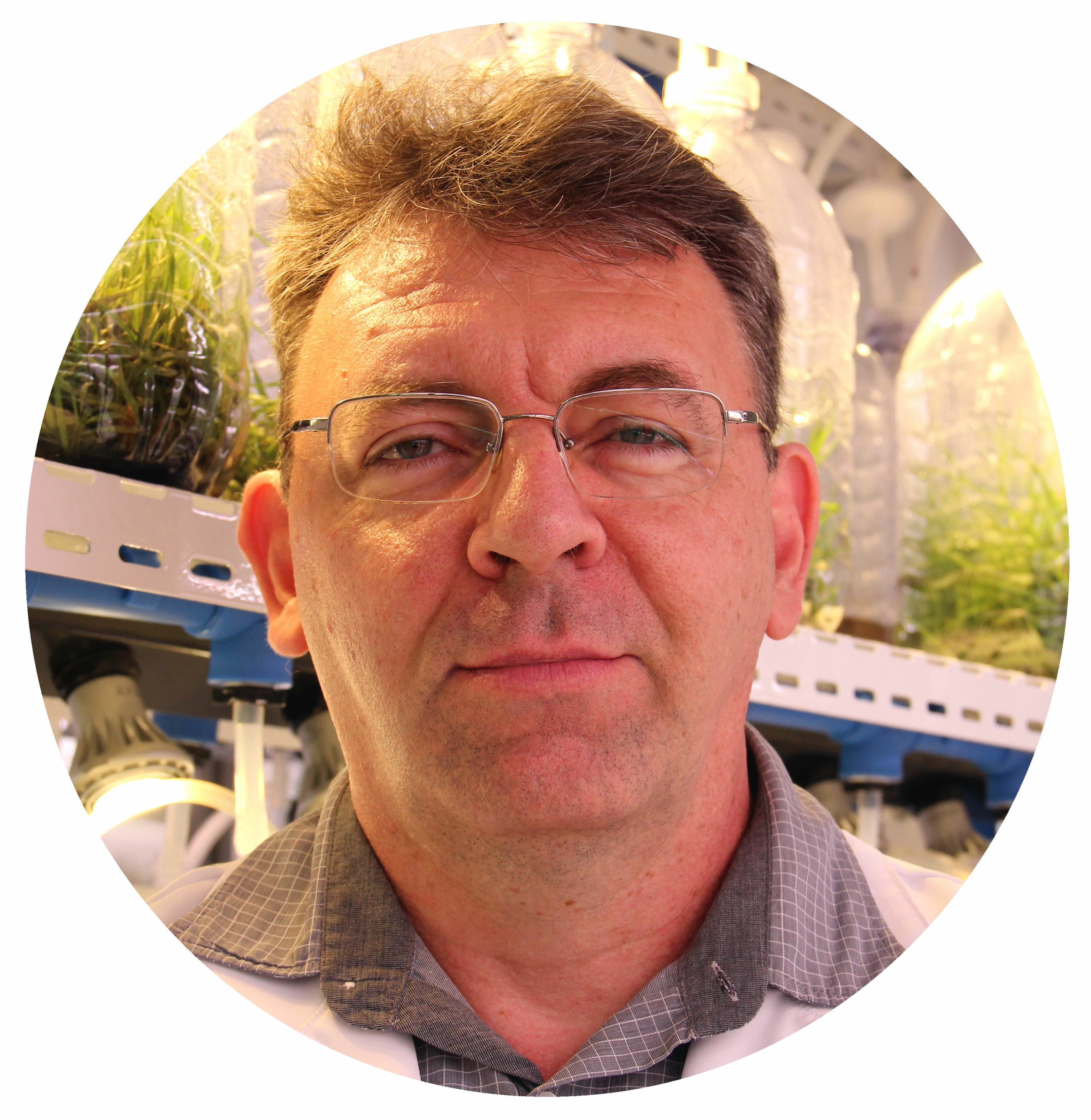 Prof. Sérgio Tadeu Sibov