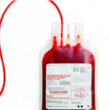 sangue-1.png