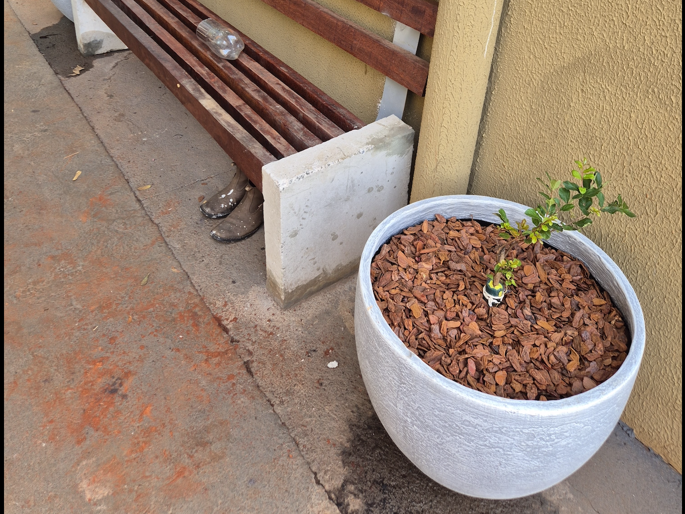  Captura de Tela 2025-11-14 às 09.07.22.png