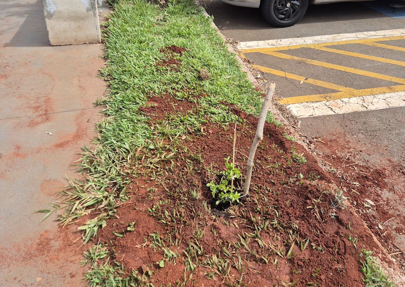  Captura de Tela 2025-11-14 às 09.07.50.png