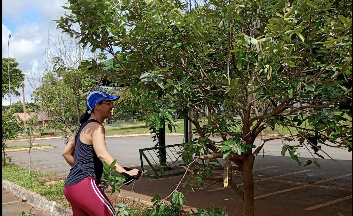  Captura de Tela 2025-11-14 às 09.08.19.png